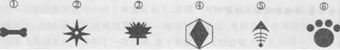 Աвȫģ(12.6)5.jpg